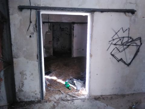Foto 61